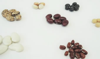小豆・大豆・インゲン豆の各種豆類画像